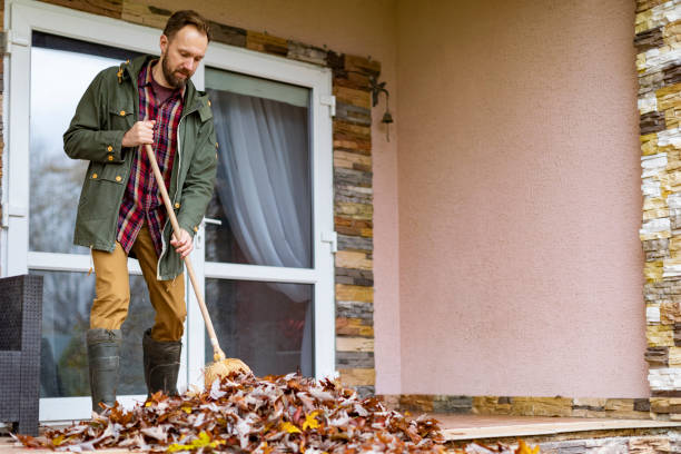 Best Furniture Removal Near Me  in Palmview, TX